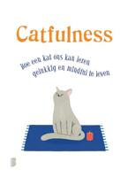 Catfulness - Paolo Valentino - ebook - thumbnail