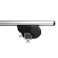 Twinny Load Dakdragerset fly bar 100 kg 124 cm aluminium zilver - thumbnail