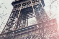 Canvas DKD Home Decor polyestyreen Canvas 144 x 3,5 x 84 cm - thumbnail