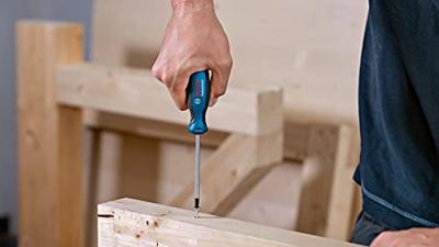 Bosch Accessoires Schroevendraaier TX 20x100 - 1600A01V0C Bosch Accessoires Schroevendraaier TX 20x100 - 1600A01V0C