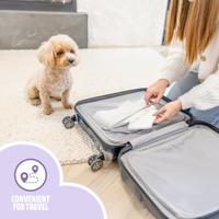 Easypets hondenluiers teef - thumbnail