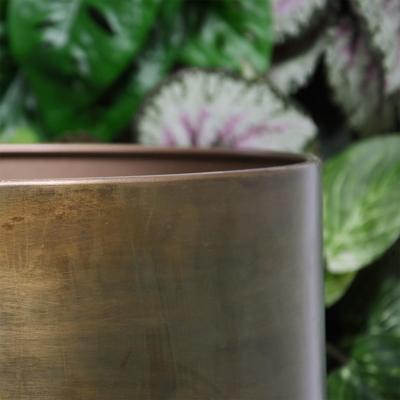 Sempre Pot Vintage Gold D50 H53