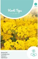 Zaden Alyssum Rotsschild goudgeel Hortitops - Hortitops - thumbnail