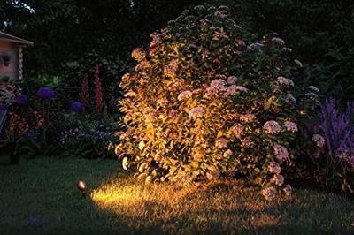 Paulmann P+S Spot Set Sting 2200K 94729 Verlichtingssysteem Plug&Shine LED-tuinspot startset LED 18.9 W Goud Antraciet Paulmann P+S Spot Set Sting 2200K 94729 Verlichtingssysteem Plug&Shine LED-tuinspot startset LED 18.9 W Goud Antraciet