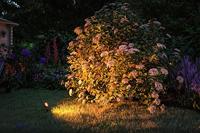 Paulmann P+S Spot Sting 2200K 94728 Verlichtingssysteem Plug&Shine LED-tuinspot uitbreidingsset LED 6.3 W Goud Antraciet - thumbnail