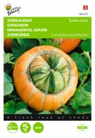 Cucurbita, Sierkalebas Turkse muts - thumbnail