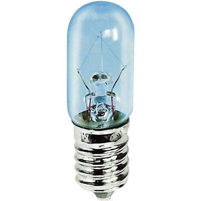 Barthelme 00113005 Buislampje 30 V 5 W E14 Helder 1 stuk(s)