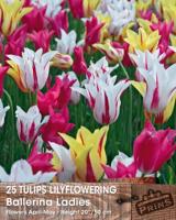 Prins tulp ballerina ladies 25 bollen - thumbnail