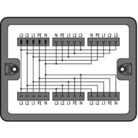 WAGO 899-631/187-000 Verdeeldoos 899 25 A Zwart 1 stuk(s) - thumbnail