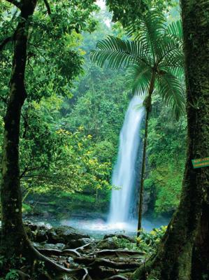 Doorkijk waterval 50x70cm Tuinschilderij Customize-it - Customize it