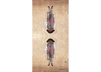 Marklin wagonset Jim Knoop 11,5 cm digitaal 1:87 staal bruin - thumbnail