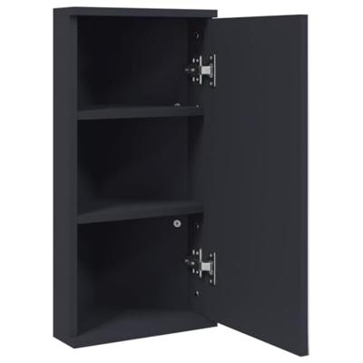 Badkamerkast met spiegel 30x24x60 cm grijs