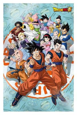 Dragon Ball Super 3D Poster Universe Survival 38 x 58 cm