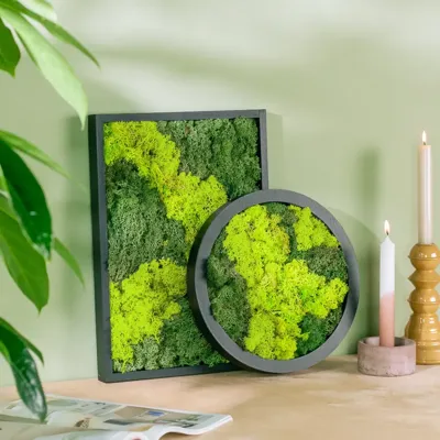 Mosschilderij Duo Mix Mosschilderij Duo Mix