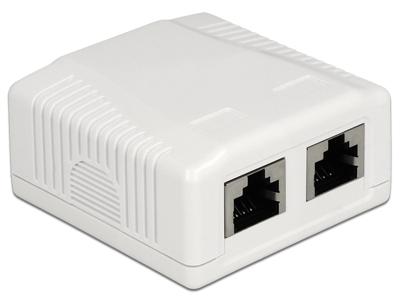 DeLOCK Network Wall Outlet 2 Port Cat.6A LSA montagedoos