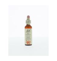 Bach Flower Remedies Rode Kastanje 25 - thumbnail