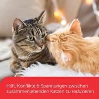 Feliway Friends Verdamper voor de kat 1 Navulling - thumbnail