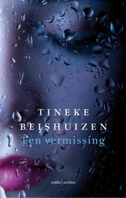 Een vermissing - Tineke Beishuizen - ebook