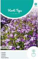Zaden Lobelia Crystal Palace Hortitops - Hortitops - thumbnail
