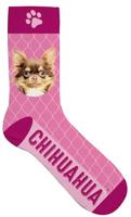Plenty Gifts sokken chihuahua polyester roze maat 31 36 - thumbnail