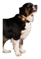 Nightwalk Safety Light Orange - thumbnail