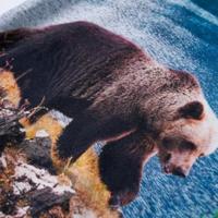 Kindershirt met lange mouwen beren en landschapprint 104 marineblauw - thumbnail