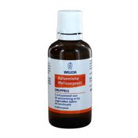 Weleda Balsemieke Melissegeest Druppels - thumbnail