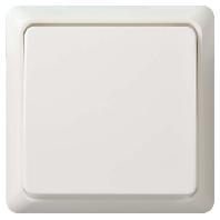 ELSO-toets 502104 10A complete RENOVATIE rw Meerdere kleuren 1 stuk(s) - thumbnail