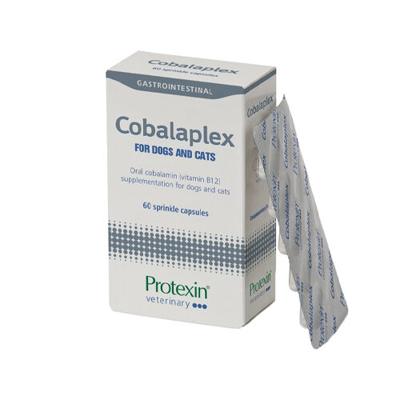 Protexin Cobalaplex voor hond en kat 60 capsules