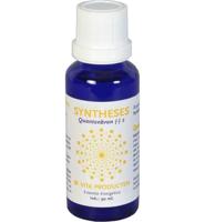 Vita Syntheses quantenbron -2 (30 ml) - thumbnail