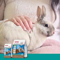 Beaphar care+ konijn junior - thumbnail