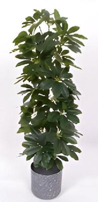 Scheffelera arboricola 90 cm kunstplant Oosterik Home - Oosterik home