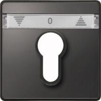 Merten 348214 Afdekking AquaDesign Antraciet 1 stuk(s) - thumbnail