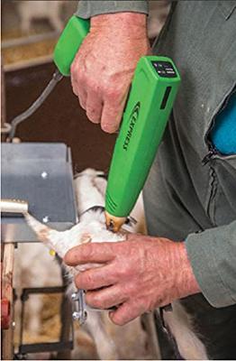 Express COSMOS op netvoeding voor geit