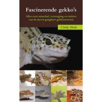 Fascinerende gekko's (Paperback) - thumbnail