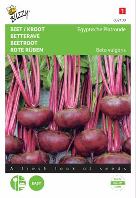 Biet/Kroot Egyptische Platronde