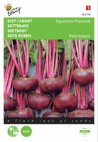 Biet/Kroot Egyptische Platronde - thumbnail