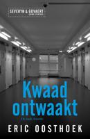 Kwaad ontwaakt - Eric Oosthoek - ebook - thumbnail