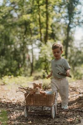 Little Dutch Forest Friends knuffel vos