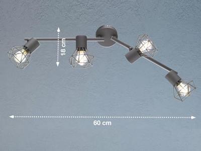 Fischer & Honsel Trendy plafondspotRan 4-lichts - 22266