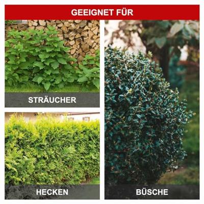 Snoeischaar Scheppach ETHT500