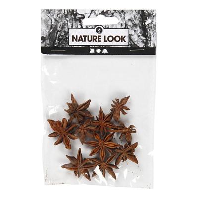 Creativ Company Ster anijs, 10 stuk/ 1 doos Creativ Company Ster anijs, 10 stuk/ 1 doos