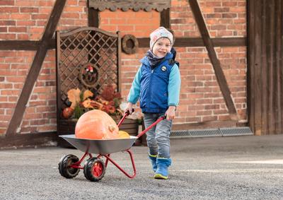 Rolly Toys Kruiwagen metaal dubbelwiel grijs/rood