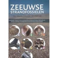 Zeeuwse strandfossielen (Paperback) - thumbnail