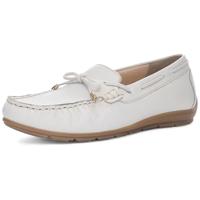 Ara 1219212 - alle - thumbnail