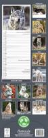 Wolven Kalender 2026 Slimline - thumbnail