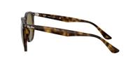 Ray-Ban RB4306-710/73-54 - thumbnail