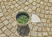 GARDENA Filter - thumbnail