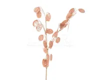 Decoratietak Rosé 76cm - thumbnail