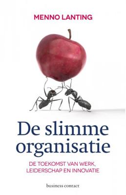De slimme organisatie - Menno Lanting - Paperback (9789047005278) De slimme organisatie - Menno Lanting - Paperback (9789047005278)